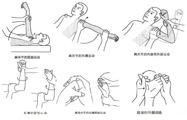 xc体育相关动态 - 科普｜心肺居家康复技巧比高强度锻炼重要