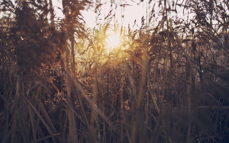 城商行智能客服与营销平台 - xc体育案例